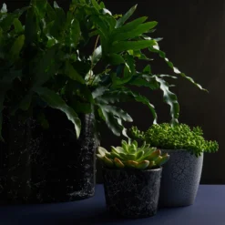 Craig & Rose Artisan Crackle Effect Spray Paint - Black - 400ml 6 Craig & Rose Artisan Crackle Effect Spray Paint - Black - 400ml -Outlet Home Harmony Store 12817532 1464833199991187