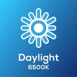 TCP Filament Candle Coat 40W SES Cool Dimmable Light Bulb 8 TCP Filament Candle Coat 40W SES Cool Dimmable Light Bulb -Outlet Home Harmony Store 12824445 7894963830082488