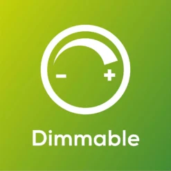 TCP Filament Globe Coat 40W BC Cool Dimmable Light Bulb 11 TCP Filament Globe Coat 40W BC Cool Dimmable Light Bulb -Outlet Home Harmony Store 12824596 1275022111812163