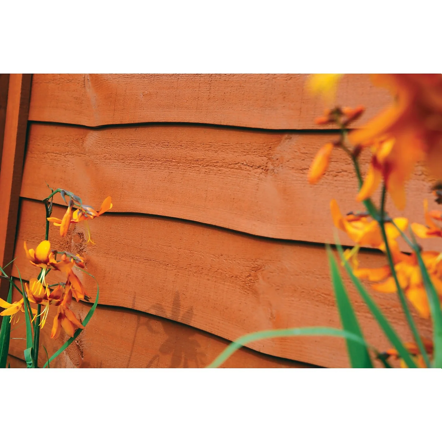 Ronseal Fence Life Plus Paint Red Cedar - 5L 4 Ronseal Fence Life Plus Paint Red Cedar - 5L - Image 4