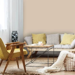 Homebase Silk Emulsion Paint Stone Beige - 5L -Outlet Home Harmony Store 12836927 5134833204843531