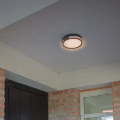 Lutec Rola LED Outdoor Bulkhead Light - Anthracite -Outlet Home Harmony Store 12840746 2044952683020768