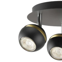Austin 3 Lamp Spotlight Plate - Black & Gold -Outlet Home Harmony Store 12882230 2044843520211471