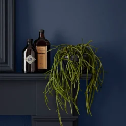 Crown Easyclean Bathroom Paint Midnight Navy - 40ml 8 Crown Easyclean Bathroom Paint Midnight Navy - 40ml -Outlet Home Harmony Store 12886554 1294853989547064