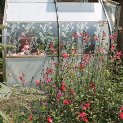 Thorndown Swan White Peelable Glass Paint 150ml 12 Thorndown Swan White Peelable Glass Paint 150ml -Outlet Home Harmony Store 13301892 3544920819837402